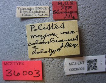 Media type: image;   Entomology 36003 Aspect: labels